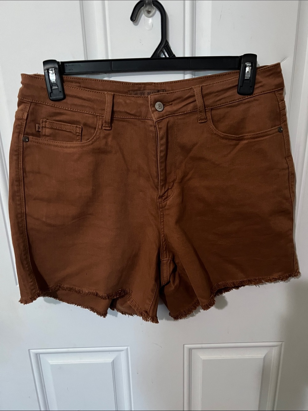 Judy Blue Frayed Hem Shorts - Brown